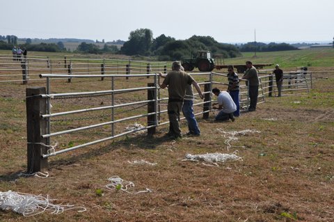 préparation du terrain le 28 Août 2013