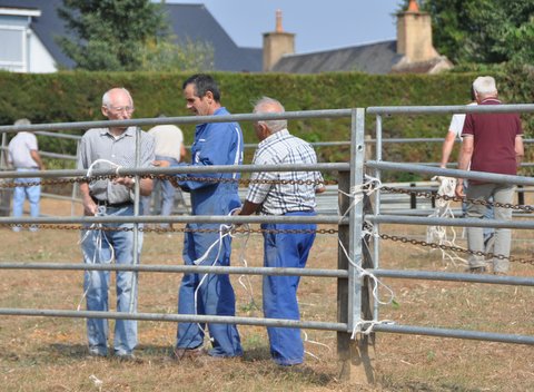 préparation du terrain le 28 Août 2013