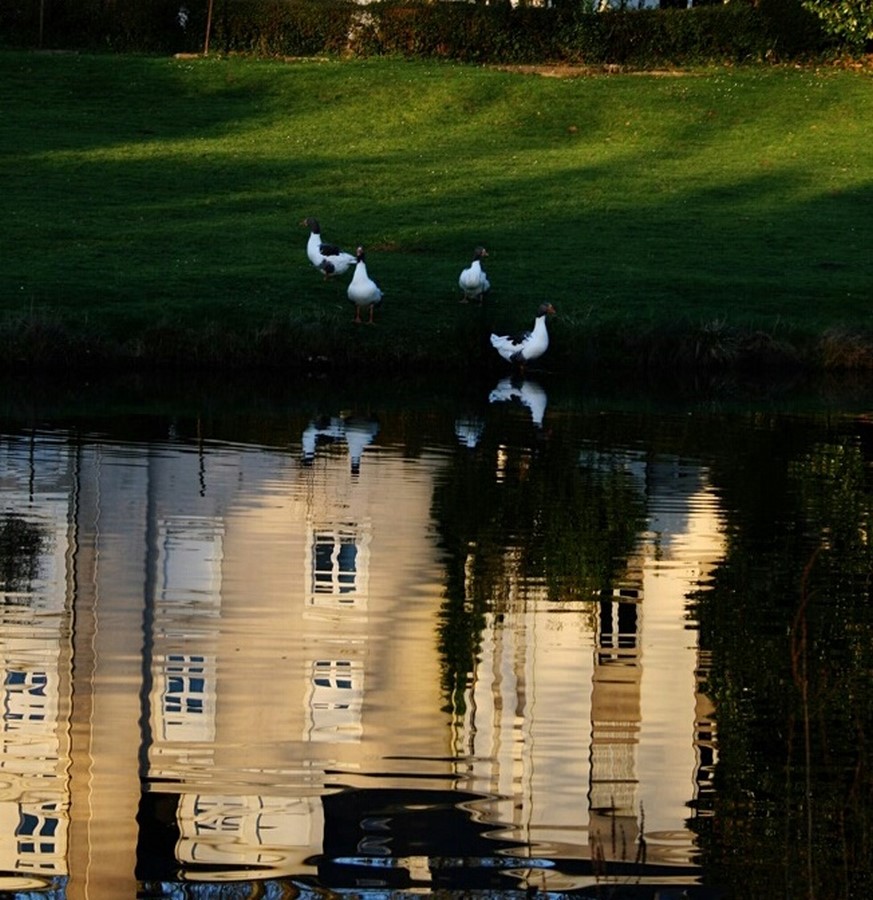 Concours photo 2016