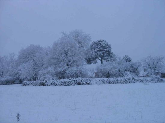 photos de paysages de Lavardin