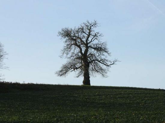 photos de paysages de Lavardin