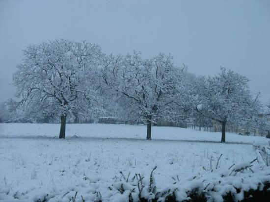 photos de paysages de Lavardin